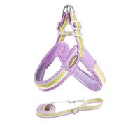Paws & Whiskers No-Pull Dog Harness and Leash Set for Small & Medium Dogs Soft Breathable Mesh, Adjustable Chest Strap, Easy-On Step-In Vest, Reflective Safety Strips for Walking Training (Purple, M)