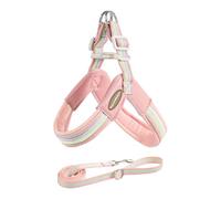 Paws & Whiskers No-Pull Dog Harness and Leash Set for Small & Medium Dogs Soft Breathable Mesh, Adjustable Chest Strap, Easy-On Step-In Vest, Reflective Safety Strips for Walking Training (Pink, S)