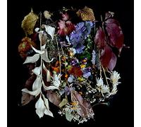 Paws - Your Church On My Bonfire [VINYL]