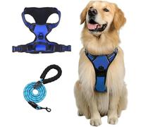 Pawsafe Adjustable Soft Dog Harness - -pull Control For Small To Large Dogs, Comfort Fit Vest With Easy Walk Training, Blue L Blue XL