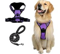 Pawsafe Adjustable Soft Dog Harness - -pull Control For Small To Large Dogs, Comfort Fit Vest With Easy Walk Training, Blue L Puple XL