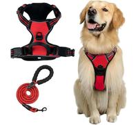 Pawsafe Adjustable Soft Dog Harness - -pull Control For Small To Large Dogs, Comfort Fit Vest With Easy Walk Training, Blue L Rot L