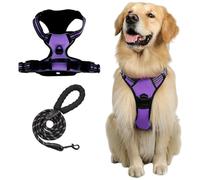 PawSafe No Pull Dog Harness-Adjustable soft dog harness, allowing control without pulling, suitable for dogs (Puple,S)