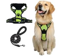 PawSafe No Pull Dog Harness-Adjustable soft dog harness, allowing control without pulling, suitable for dogs (Green,S)