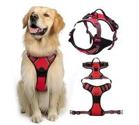 PawSafe No Pull Dog Harness-This dog harness features an ergonomic, anti-pull design and a handle for easy control in stressful situations. (Red,L)