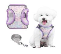 PawSailor Adjustable Medium Dog Harness, Soft Mesh Breathable Lightweight with Print Pattern, Escape Proof Harness Vest Padded Reflective Easy to Wear for All Season Lavender M