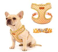 PawSailor Dog Harness with Lead, Pull-Free Checked Pattern Puppy Harness, Breathable Mesh, Reflective, Adjustable, Soft Padded for Small and Medium Dogs, Cats, Yellow, L