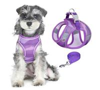 PawSailor No Pull Step-in Dog Harness for Small Dogs, No Pull Adjustable Soft Mesh Breathable Dog Vest Harness with Stripe Print, Lightweight Comfortable All Season for Easy Walking Purple S