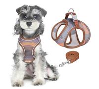 PawSailor Soft Mesh Dog Harness and Leash Set Step-in No Pull Printed Reflective Breathable Adjustable Safe Buckle Escape Proof Dog Vest Harness for Extra Small Dogs Cats, Brown XXS