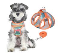 PawSailor Step-in Adjustable Dog Harness Leash Set, Soft Mesh Breathable Lightweight with Print Pattern, Escape Proof Dog Vest Harness Reflective Night Easy to Wear for All Season Orange M