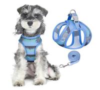 PawSailor Step-in Dog Harness and Leash Set Mesh Breathable No Pull Escape Proof Reflective Adjustable Easy Walk Puppy Vest Harness for Small Medium Dogs Cats, Blue XS