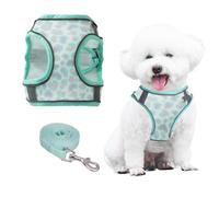 PawSailor Step-in Dog Harness Small Dogs, No Pull Adjustable Soft Mesh Breathable Padded Puppy Vest Harness with Floral Print, Comfortable for Walking Green XS