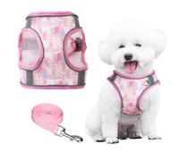 PawSailor Summer Dog Harness and Lead Set for Walking, Floral Print No Pull Soft Air Mesh Breathable Reflective Adjustable Pet Vest Harness for Small Dogs Cat Pink S