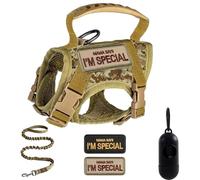 Pawsify Escape-Proof Adventure Tactical Cat Harness & Leash Set with Handle for Walking Escape Proof Adjustable Large Cat Vest Harness with embroidery, Easy to Control (A)