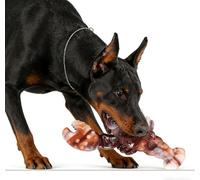 PawsJoy Heavy Duty Lobster Chew Toy for Large Dogs - Indestructible Interactive Exercise Toy for Puppy Training & Behavior Correction, Suitable for Home Living Room Bedroom Alone Time Outdoor Travel