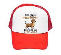 Pawsome Dachshund Dad Gift, Dog Lover, Pet Owner, Gift for Him, Adjustable Mesh Cap, Baseball Cap, Hat. (Red, One Size)