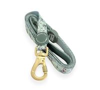 Pawsome Paws Boutique 100 Aker Woods Dog Lead - 5ft Stylish Disney Dog Leash with Soft Grip & Durable Carabiner Clip