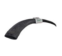 Pawsome Snax Large Buffalo Horn - Pack Size: 1 - Natural Dog Treat - Long Lasting, Tough Dog Chew (Sizes Will Vary)