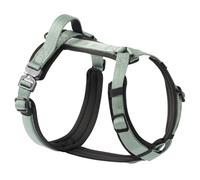 PawsPassion Dog Harness for Medium Dogs, No Pull Dog Harness Easy Walk with Metal Hardware, Ergonomic Y-Shaped Design, Soft Padding, Padded Handle, Durable High-Tensile Nylon (Seabreeze, M)