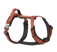 PawsPassion Dog Harness for Medium Dogs, No Pull Dog Harness Easy Walk with Metal Hardware, Ergonomic Y-Shaped Design, Soft Padding, Padded Handle, Durable High-Tensile Nylon (Canyon Red, M)