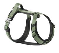 PawsPassion Dog Harness for Small Dogs, No Pull Dog Harness Easy Walk with Metal Hardware, Ergonomic Y-Shaped Design, Soft Padding, Padded Handle, Durable High-Tensile Nylon (Evergreen, S)