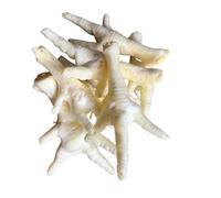 Pawstrading Natural White Puffed Chicken Feet Dog Chew Treat (500grams)