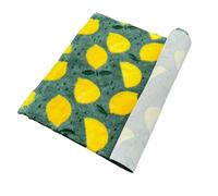 Pawstrading Premium Lemon Design Dog Bed Mat - Yellow Green Dog Mat Vet Bed Bedding with Anti-Slip Back (Multiple Sizes) (Small (50x75cm))