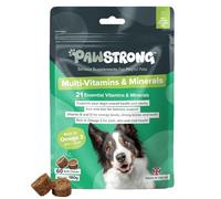 PawStrong Multi-Vitamins & Minerals Soft Chew Dog Supplements - 21 Essential Nutrients for Daily Health, Energy, Joints, Skin & Coat with Omega 3 EPA & DHA - 60 Soft Chews