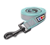 Pawtitas 1.8 M Reflective Dog Lead Comfortable Padded Handle | Puppy Dog Training Double Handle Reflective Lead | Reflective Short Dog Lead for Training | Hands Free Running Dog Lead - M/L Teal Lead