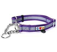 Pawtitas Chain Martingale Dog Collar Puppy Collar Reflective Dog Collar Training Dog Collar Behavioral Dog Chain Collar Collar Medium Dog Collar Purple Dog Collar