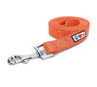Pawtitas Dog Lead for Small Dogs, 1.8m Long, Orange, Reflective, Extra Small