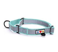 PAWTITAS Martingale Dog Collar ideal for training | Martingale dog collars for Large dogs | Reflective Dog Collar for dogs and puppy | Large dog collar - Teal Martingale collar