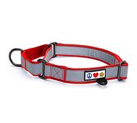 PAWTITAS Martingale Dog Collar ideal for training | Martingale dog collars for Small dogs | Reflective Dog Collar for dogs and puppy | Small dog collar - Red Martingale collar