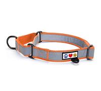PAWTITAS Martingale Dog Collar ideal for training | Martingale dog collars for Small dogs | Reflective Dog Collar for dogs and puppy | Small dog collar - Orange Martingale collar