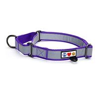 PAWTITAS Martingale Dog Collar - Ideal for Training, Reflective, Purple, S (Pack of 1) - Small Dogs