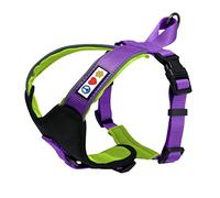 Pawtitas Pet Accessories Adjustable Padded Reflective Dog Harness, Step In Or Vest Harness, Comfort Control Walk, Puppy Trainer, Reduces Pull Tugging, Choking S Small Purple
