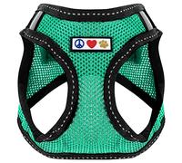 PAWTITAS Pet Reflective Mesh Dog Harness, Step In or Vest Harness, Comfort Training Walking of Your Puppy/Dog, XXS Extra Extra Small, Aquamarine