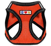 PAWTITAS Pet Reflective Mesh Dog Harness, Step in or Vest Harness, Comfort Training Walking of Your Puppy/Dog M Medium Orange Dog Harness