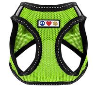 Pawtitas Pet Reflective Mesh Dog Harness, Step in or Vest Harness, Comfort Training Walking of Your Puppy/Dog XS Extra Small Green Dog Harness