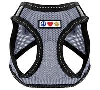 PAWTITAS Pet Reflective Mesh Dog Harness, Step-in or Vest Style, Extra Small Grey, Special Feature: Reflective for Low Light Visibility