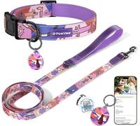 PawView Dog Collar and Lead Set, Comfortable Soft Adjustable Nylon Collar with QR Code Tag, Durable Puppy Leash for Small, Medium and Large Dogs(M：Neck 33-51cm,Width 2cm,Sunset）