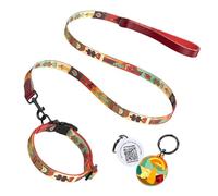 PawView Dog Collar and Lead Set with Smart QR Pet Tag, Adjustable Collar & 5 FT Heavy Duty Lead, Soft Neoprene Padding, Leather Handle, Quick Release Buckle for Small Medium Large Dogs (L, Red)