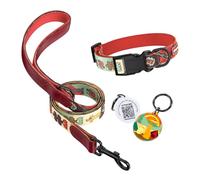 PawView Dog Collar and Leash Set with QR Code Tag, Adjustable Collar for Small Dogs (Neck 22-30cm), Soft & Durable for Daily Walks, 1.5m Lead,Sunrise