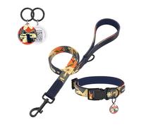 PawView Dog Collar & Lead Set with QR Code ID Tag - Adjustable, Waterproof & Comfortable -for Small, Medium, Large Dogs（XS:Neck 22-30cm,Width 1.5cm,Night Sky）