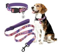 PawView Dog Collar & Lead Set with QR Code ID Tag- Adjustable, Waterproof & Comfortable -for Small, Medium, Large Dogs（S, Sunset, 25-43cm）