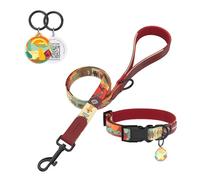 Pawview Puppy Collar and Lead sets with Dog ID Tag - Adjustable (10-17 inch) Comfortable Neoprene Lined Collar for Small Dogs Under 20 lbs