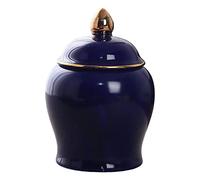 PawwJoy Storage Jars, Highly Polished Airtight Storage Canisters with Lid, Small Food Storage Jar for Kitchen Spice, Tea, Sugar, Coffee Beans- Navy