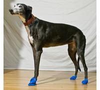 Pawz 100% Natural Rubber Dog Boots - disposable and reusable 7 sizes - 12 boots