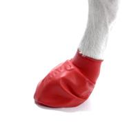Pawz Natural Rubber Dog Boots | Dogs