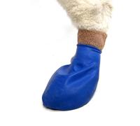 Pawz Dog - Blue Dog Boots